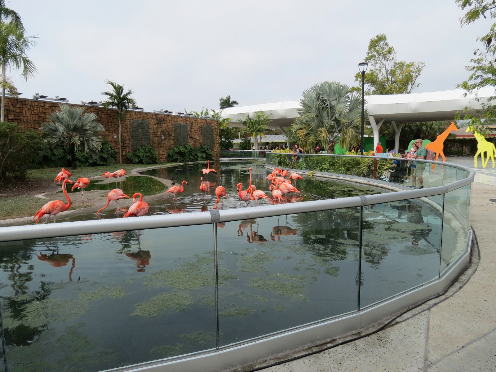 Entrance - American Flamingo Exhibit