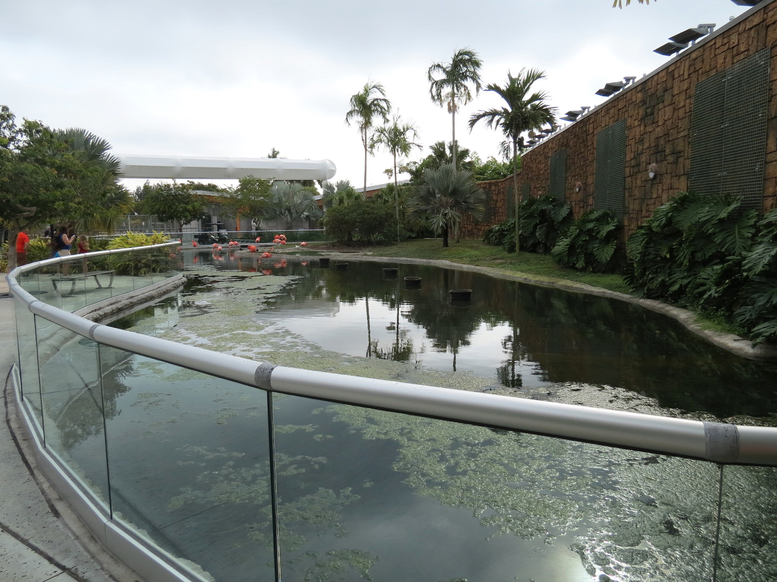 Entrance - American Flamingo Exhibit