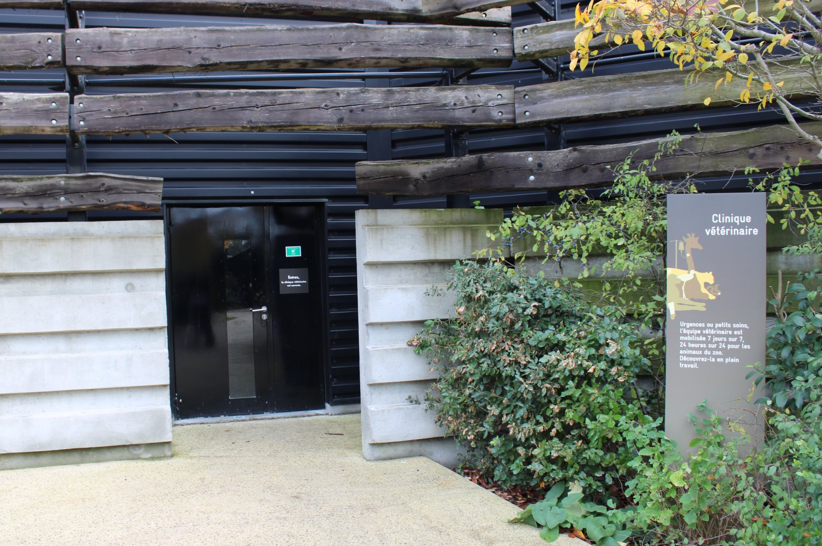 Entrance Animal-hospital