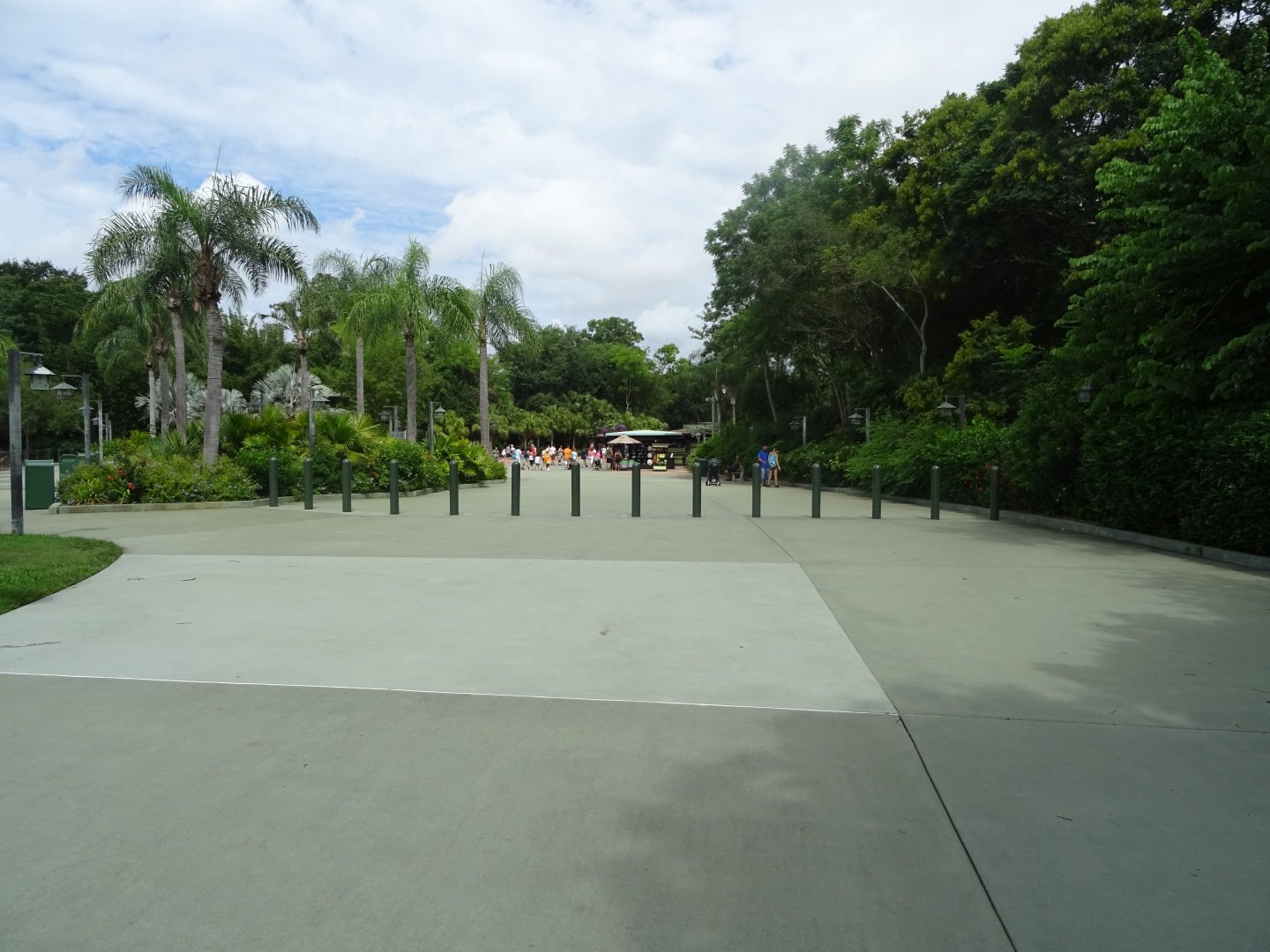 Entrance Approach at Disney's Animal Kingdom (2014)