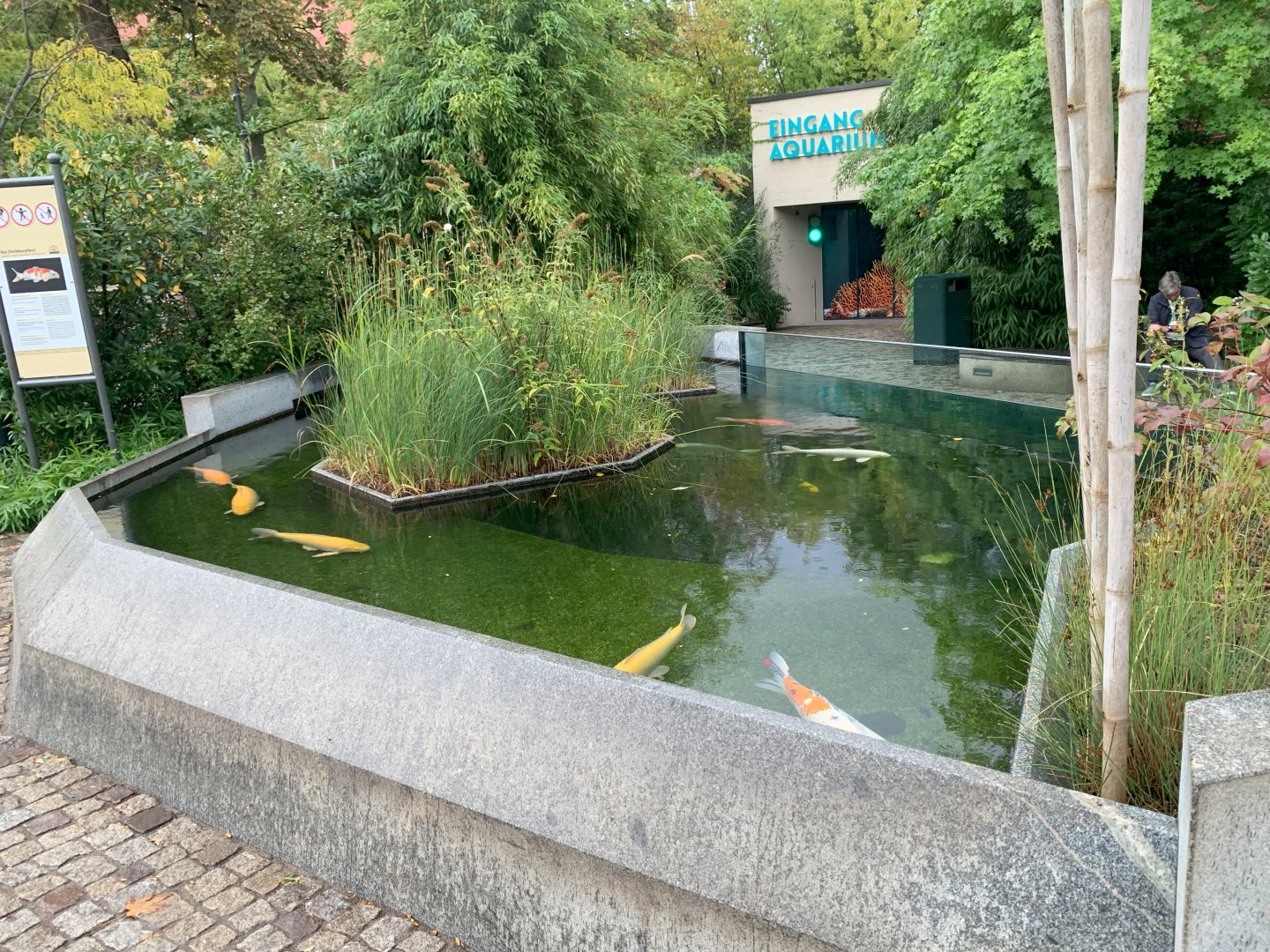 Entrance aquarium - Aquarium