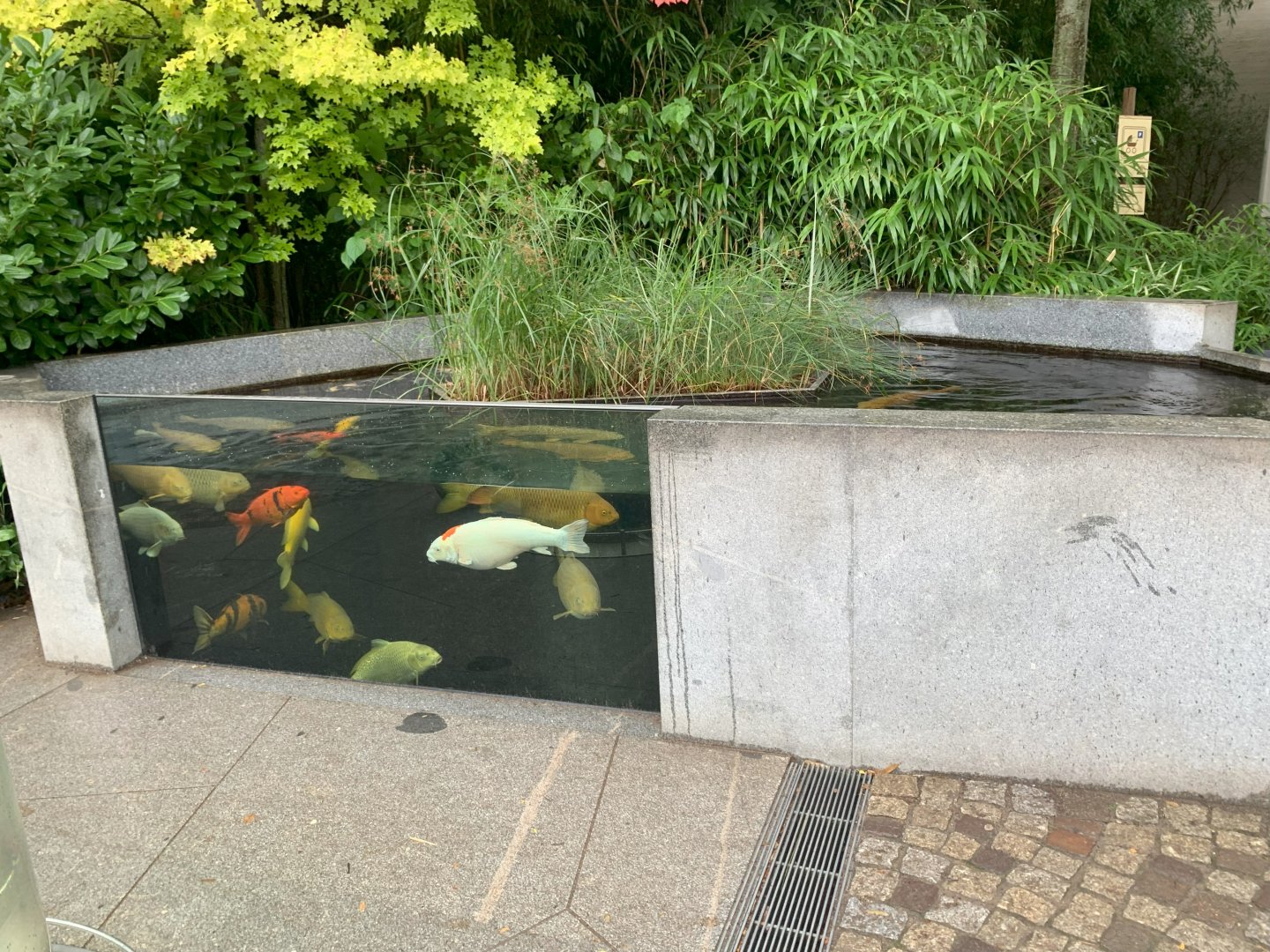 Entrance aquarium - Aquarium