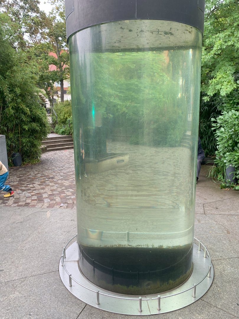 Entrance aquarium - Aquarium