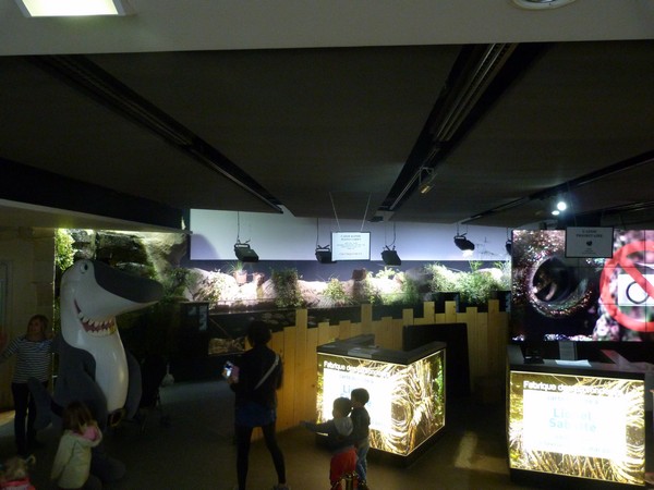 Entrance area and freshwater tanks