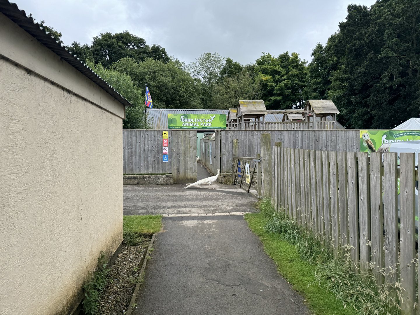 Entrance Area at Bridlington Animal Park (July 2024)