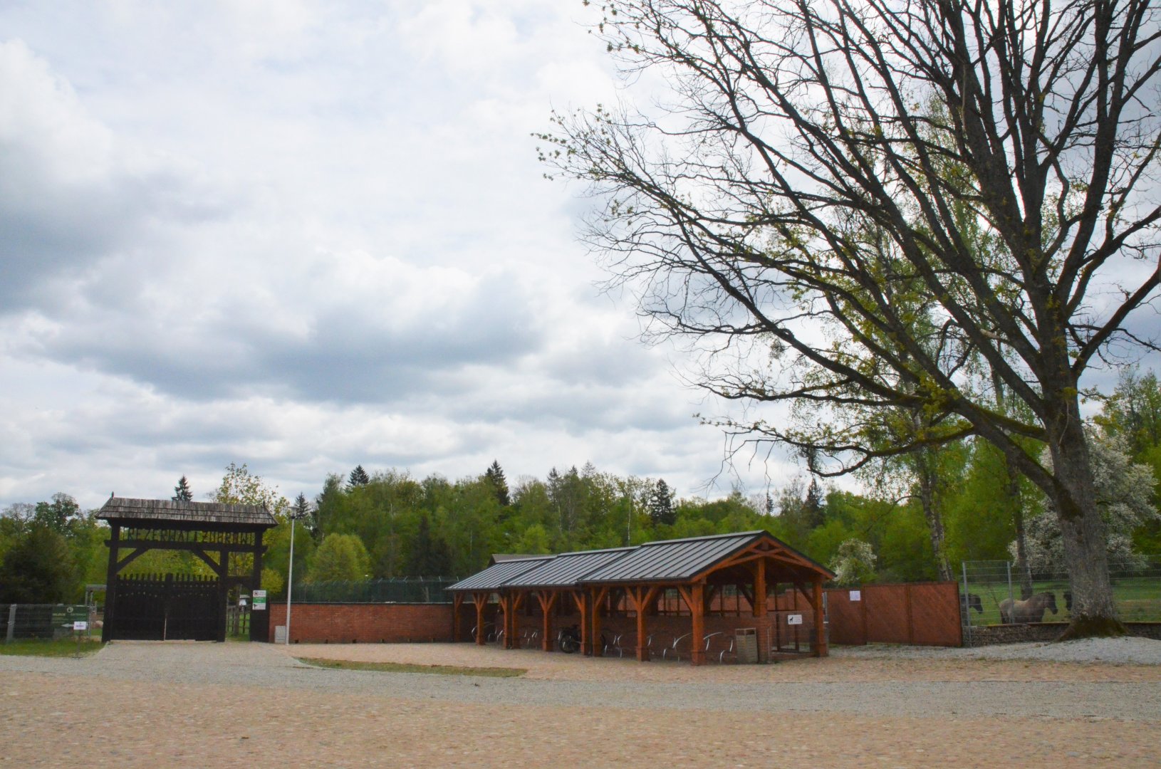 Entrance Area at Rezerwat Pokazowy Żubrów, Białowieża 07/05/19