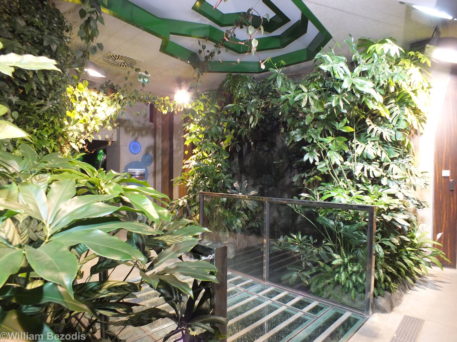 Entrance Area in the Newly Renovated Aquarium