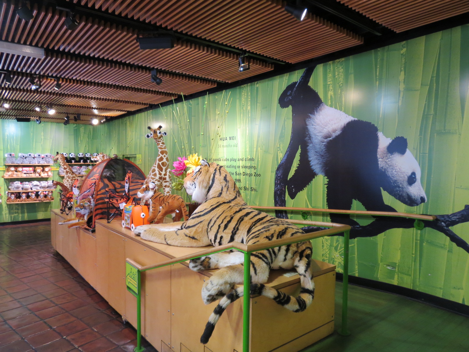 Entrance Area - Kid Store