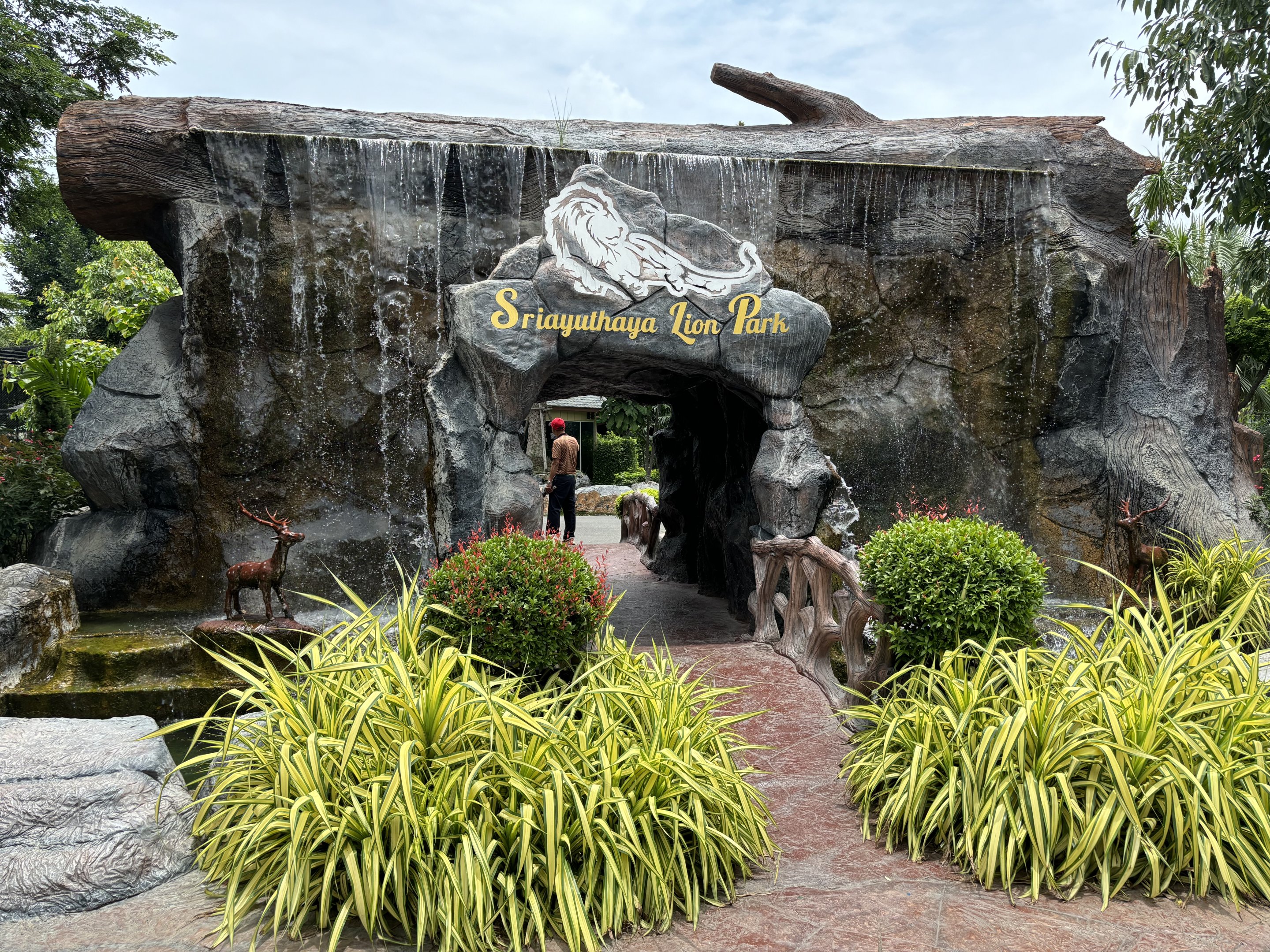 Entrance Area - Lion Park