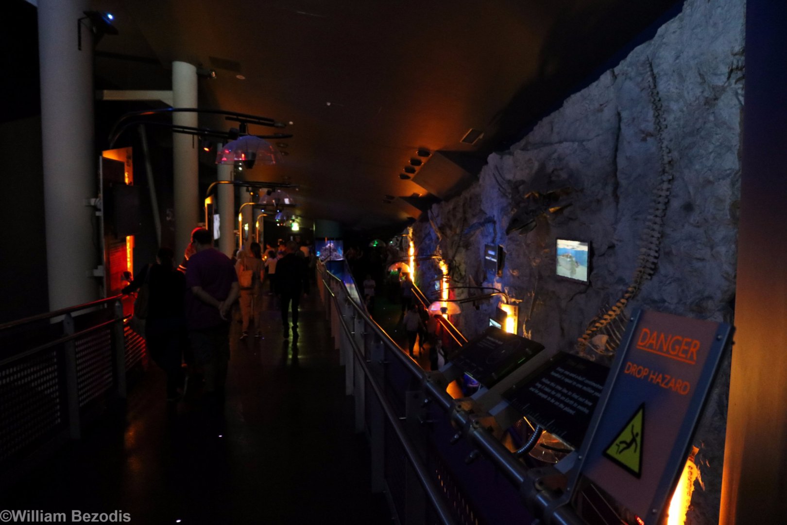 Entrance Area (Museum-style)