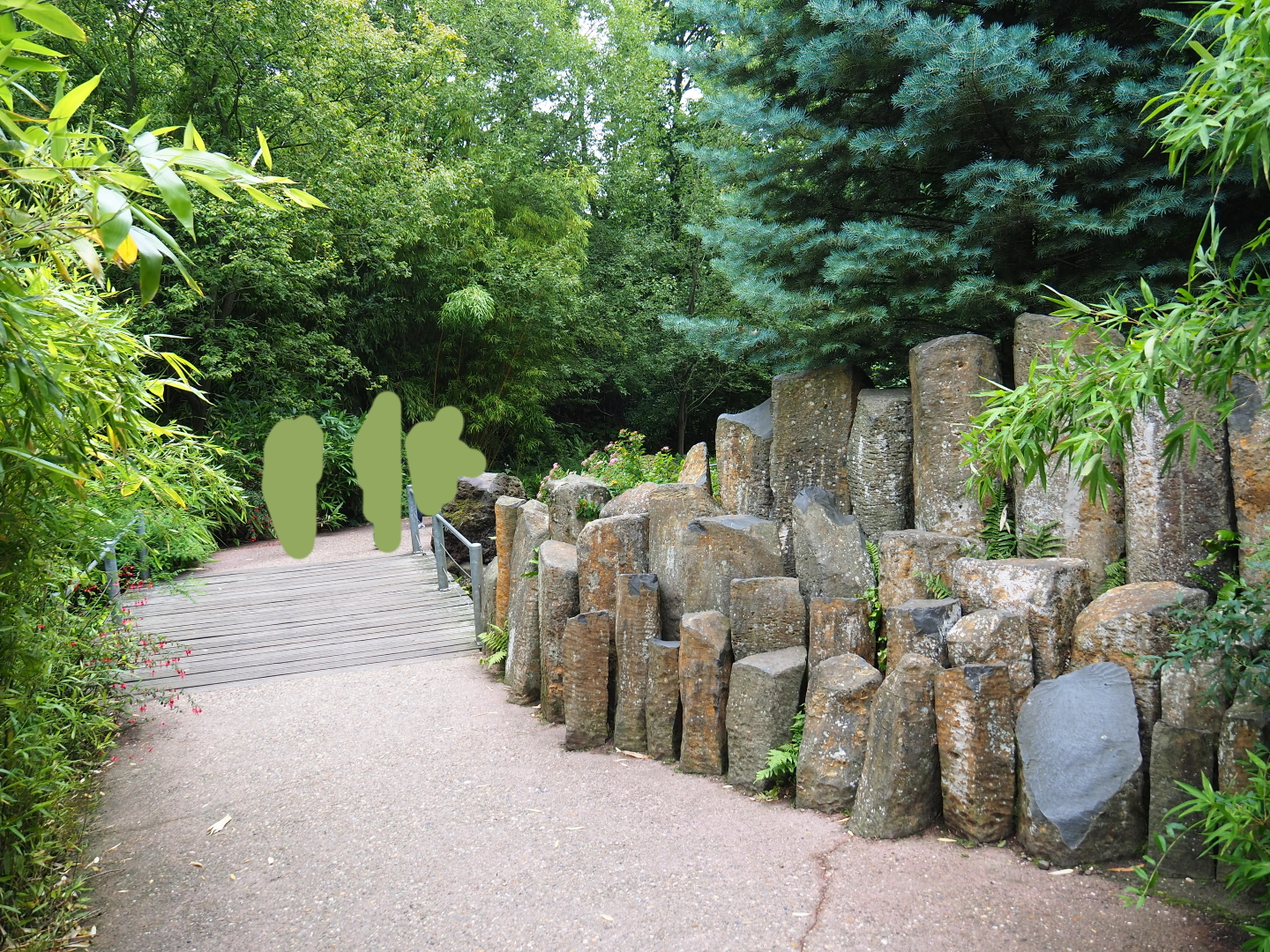 Entrance area pathway and landscaping, 2019-07-21