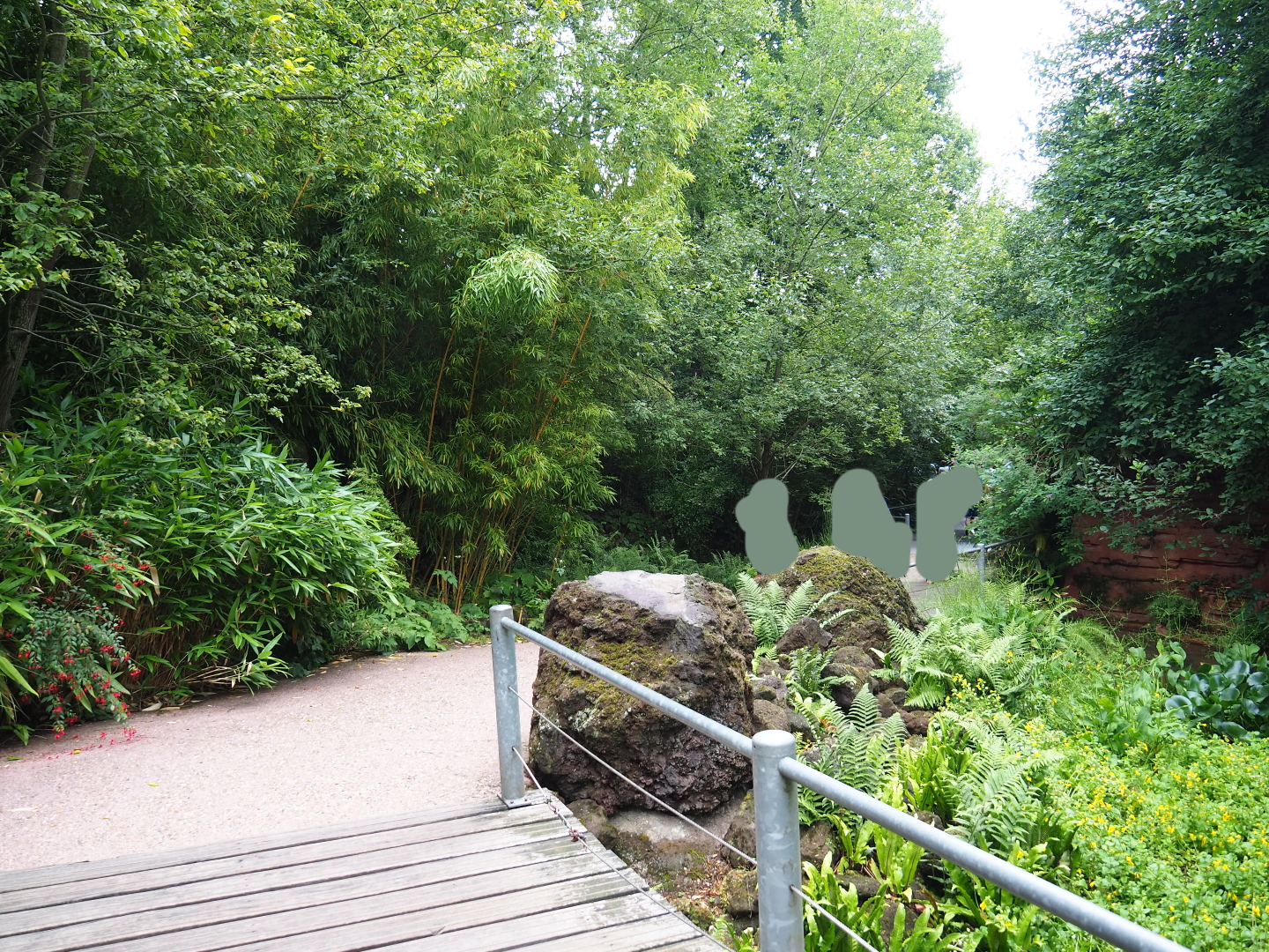Entrance area pathway and landscaping, 2019-07-21