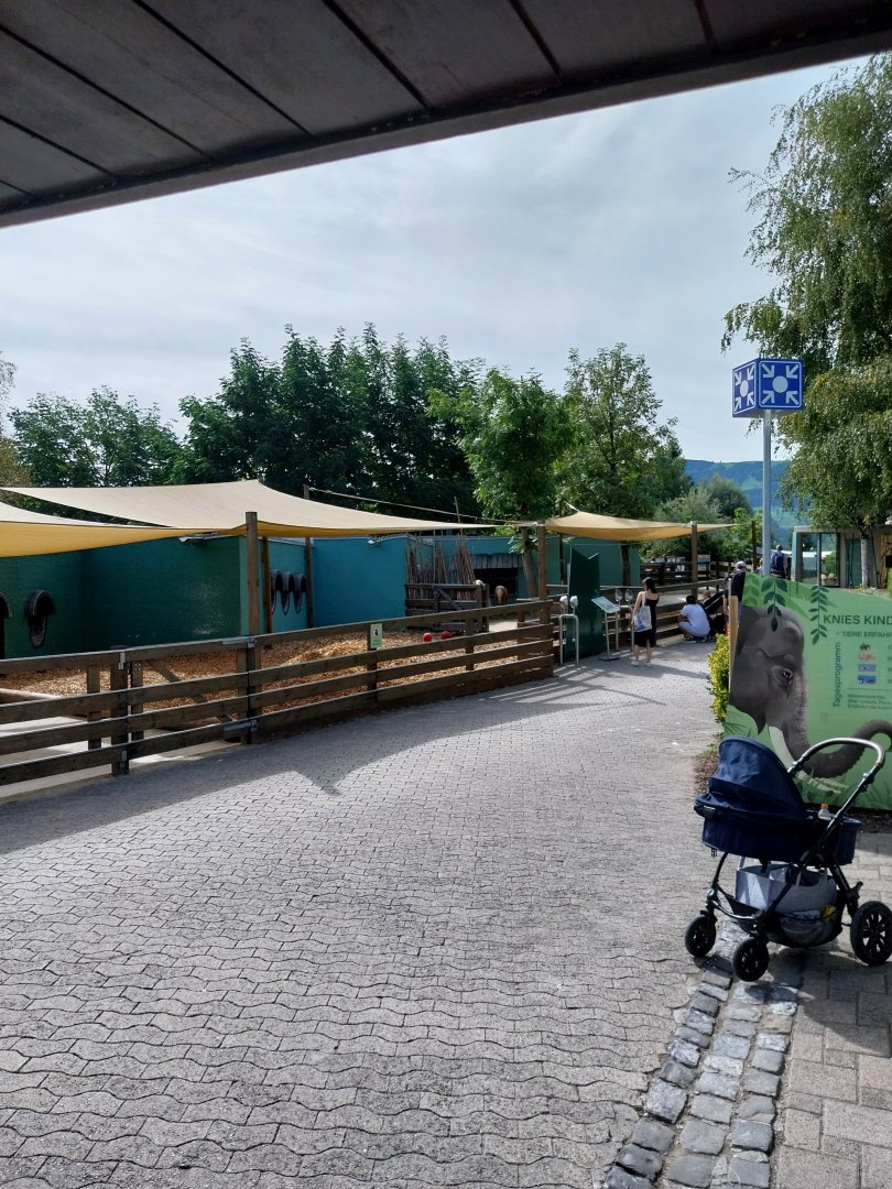 Entrance area - Pony enclosures