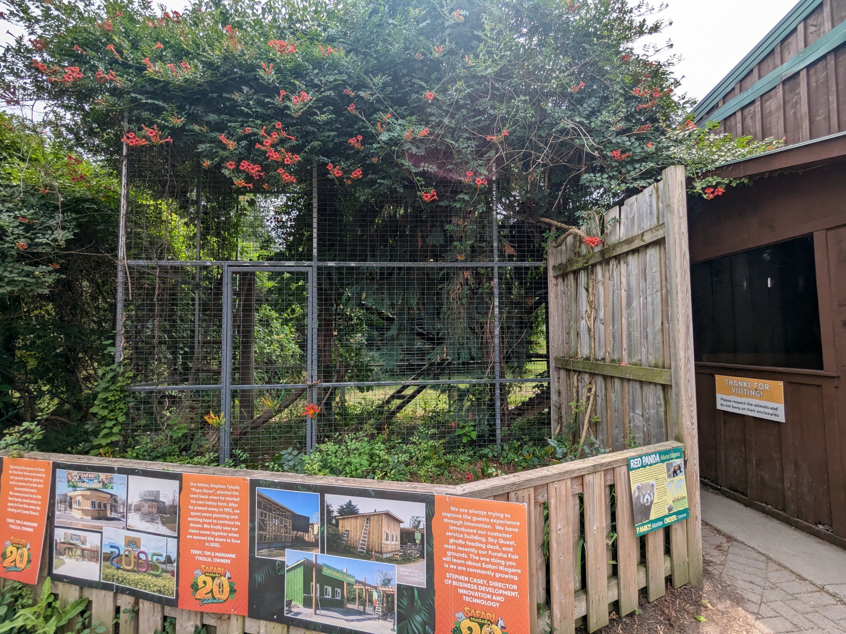 Entrance area - Red panda