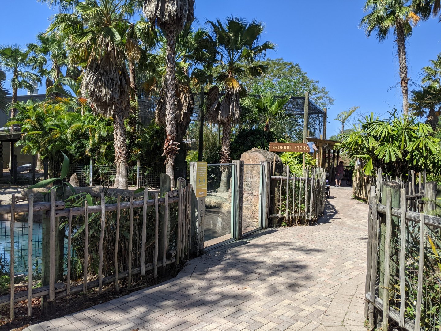Entrance area to new Shoebill Stork area