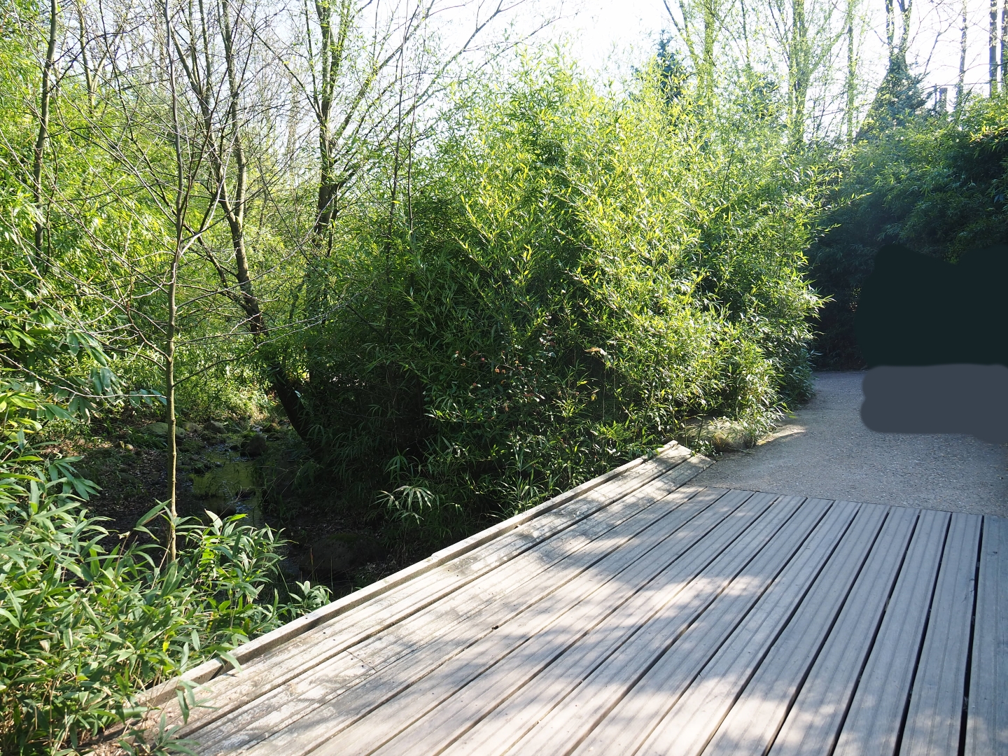 Entrance area - Walkway through valley area, 2019-03-30