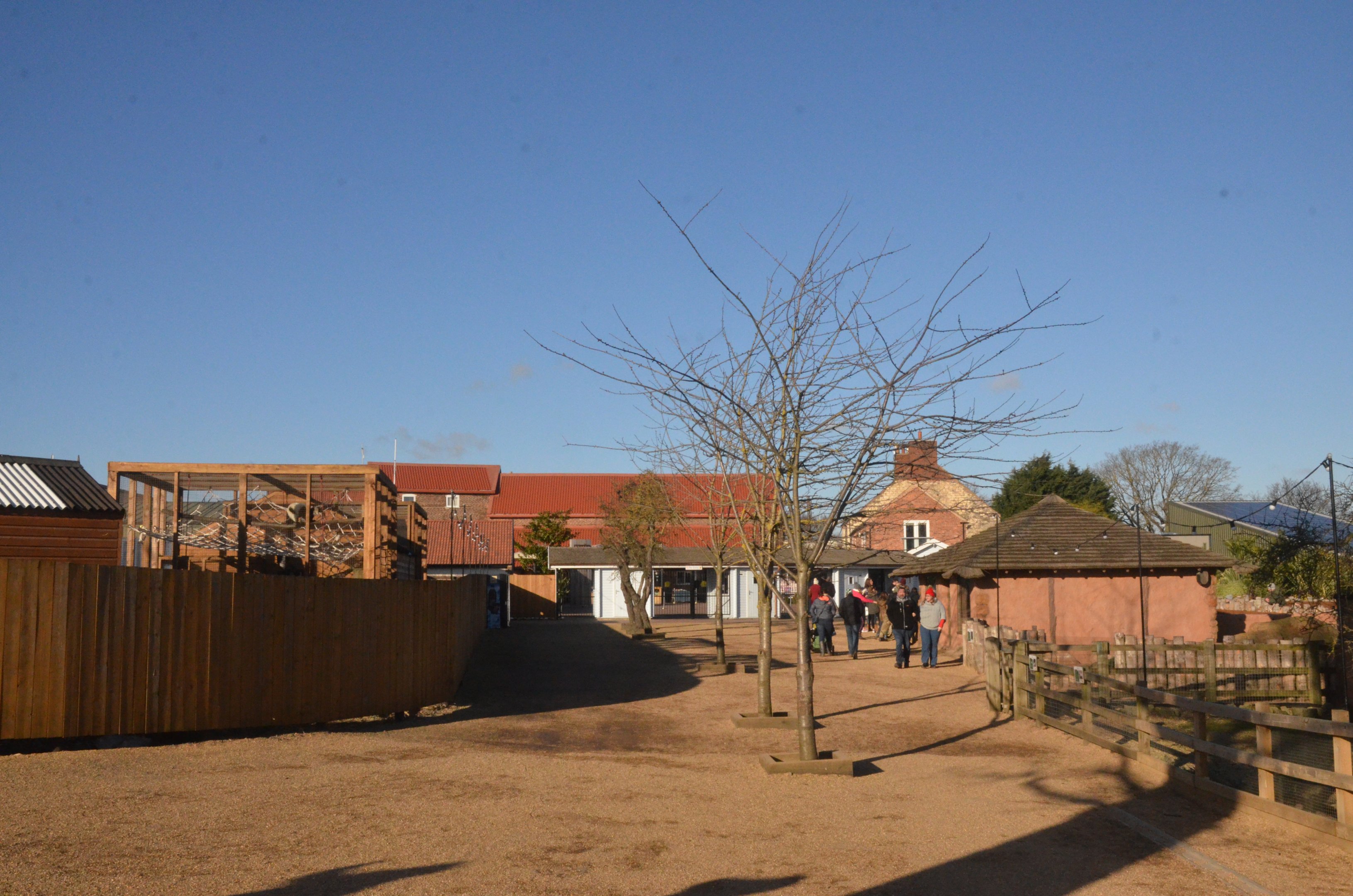 Entrance Area with Off-show Lemurs at Yorkshire WP, 14/01/17