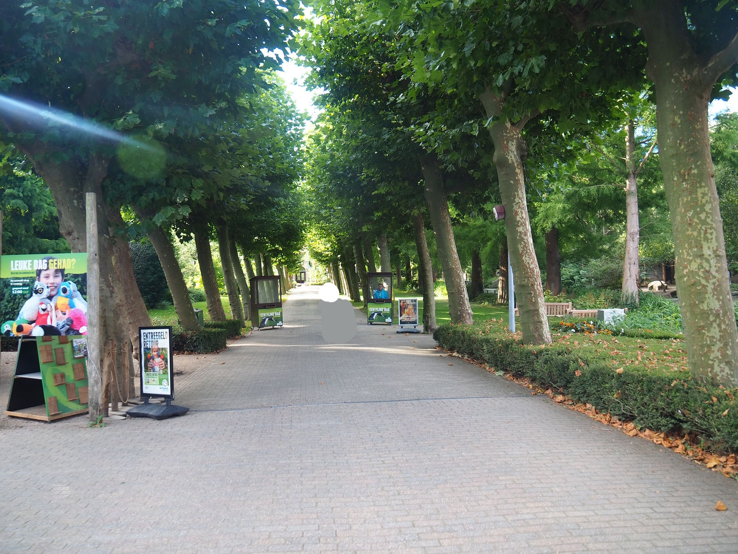 Entrance avenue, 2022-08-28