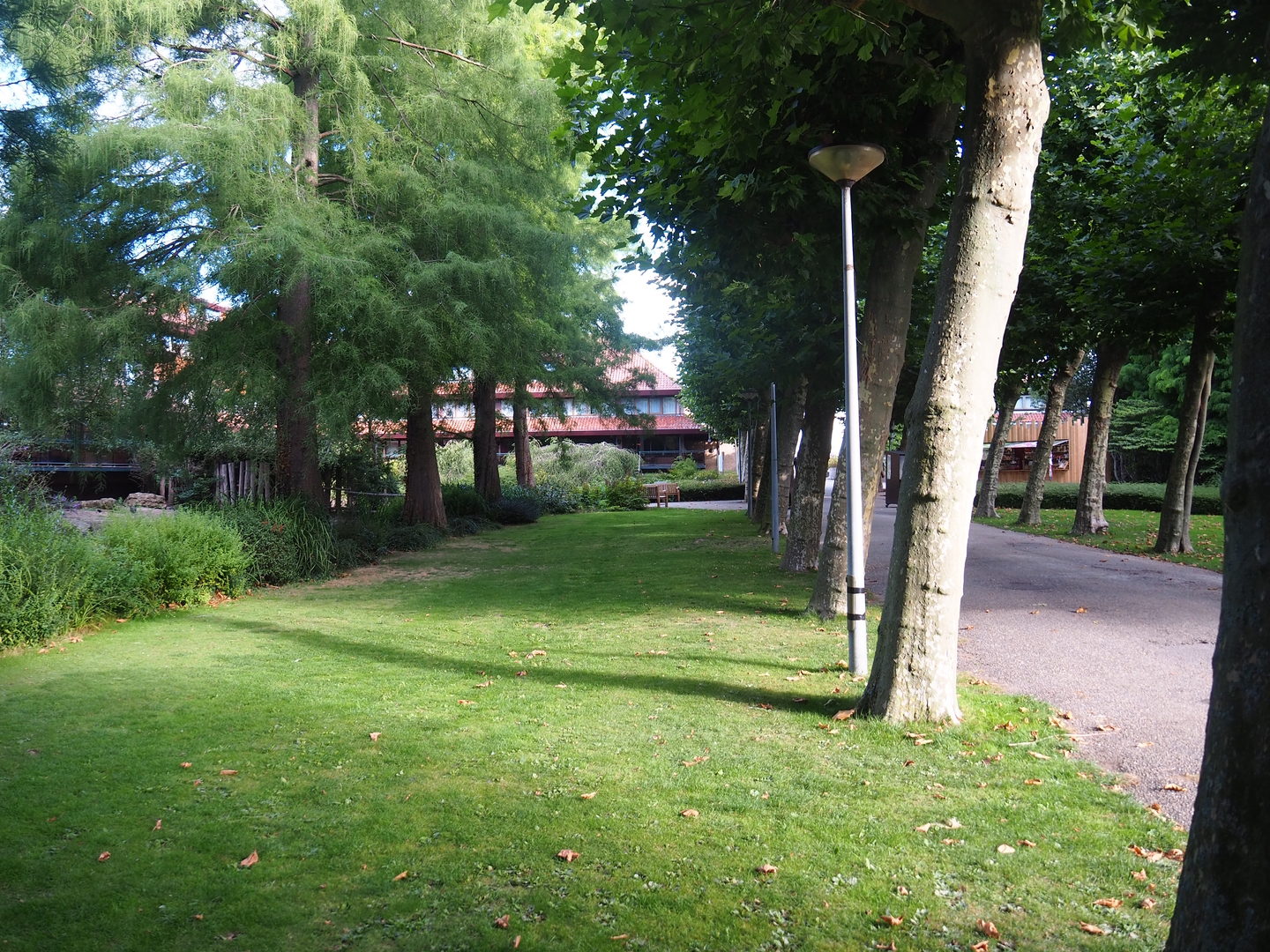 Entrance avenue and lawn next to the ostrich paddock, 2022-08-28