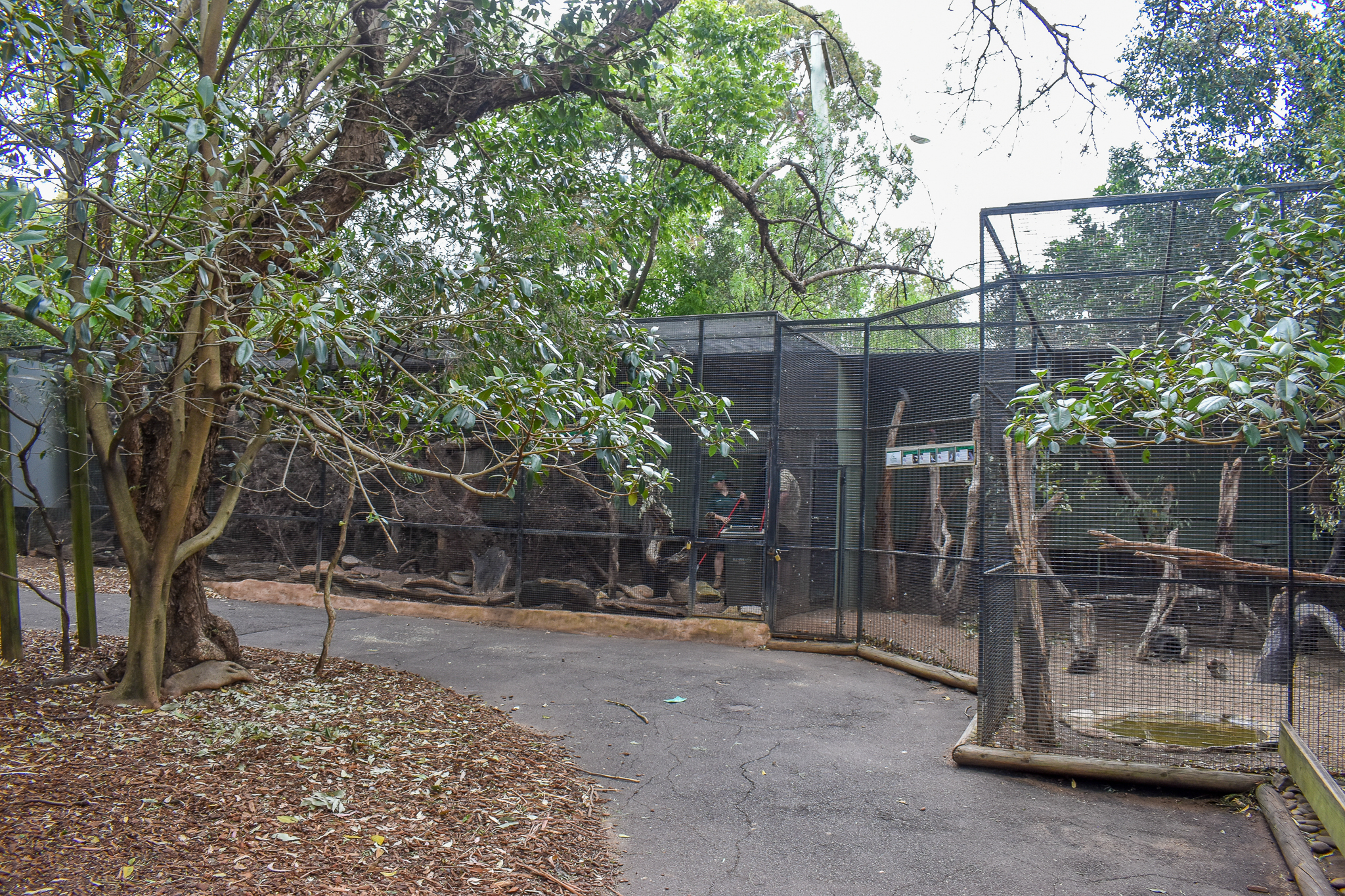 Entrance Aviaries