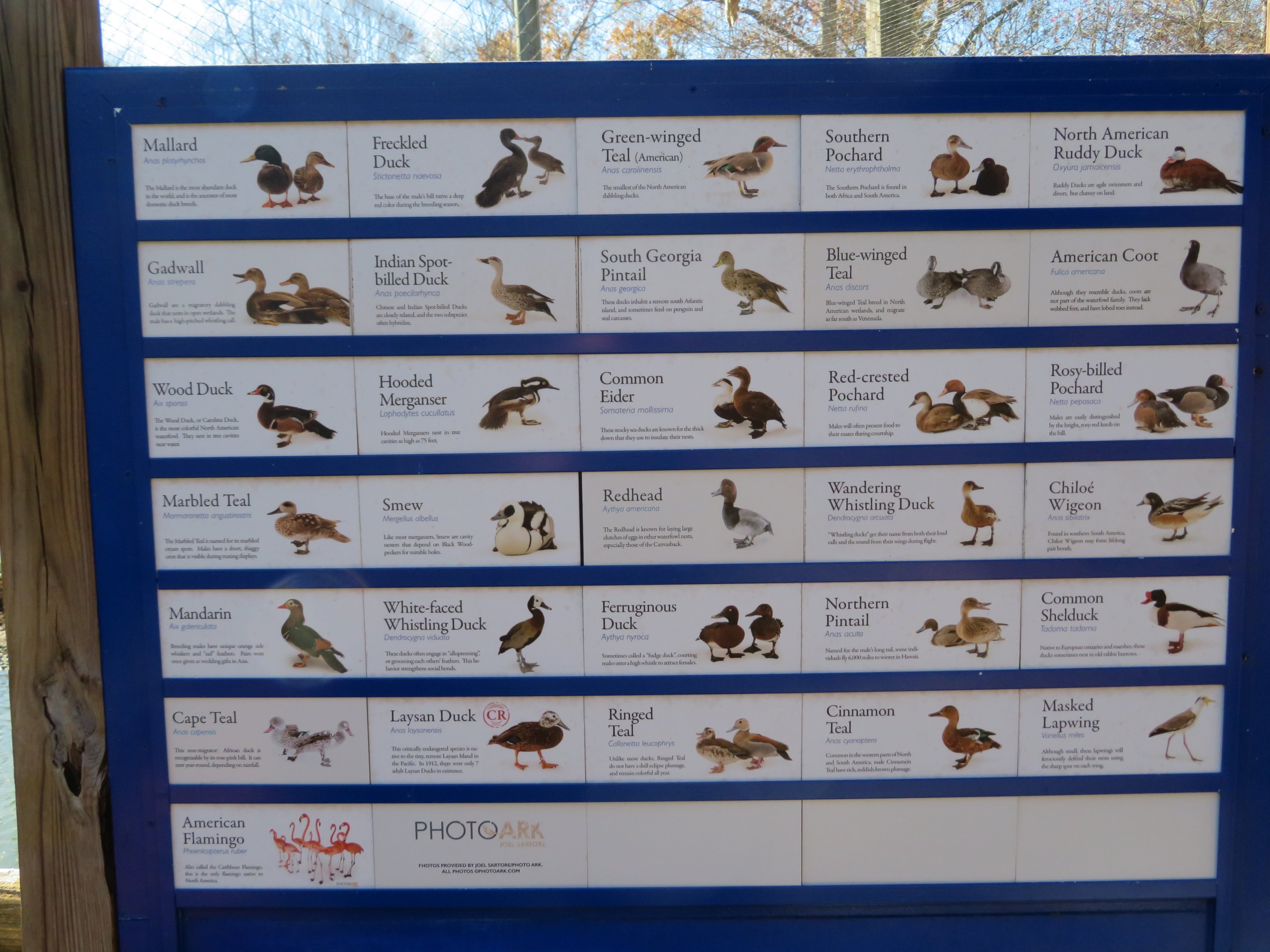 Entrance Aviary Signage