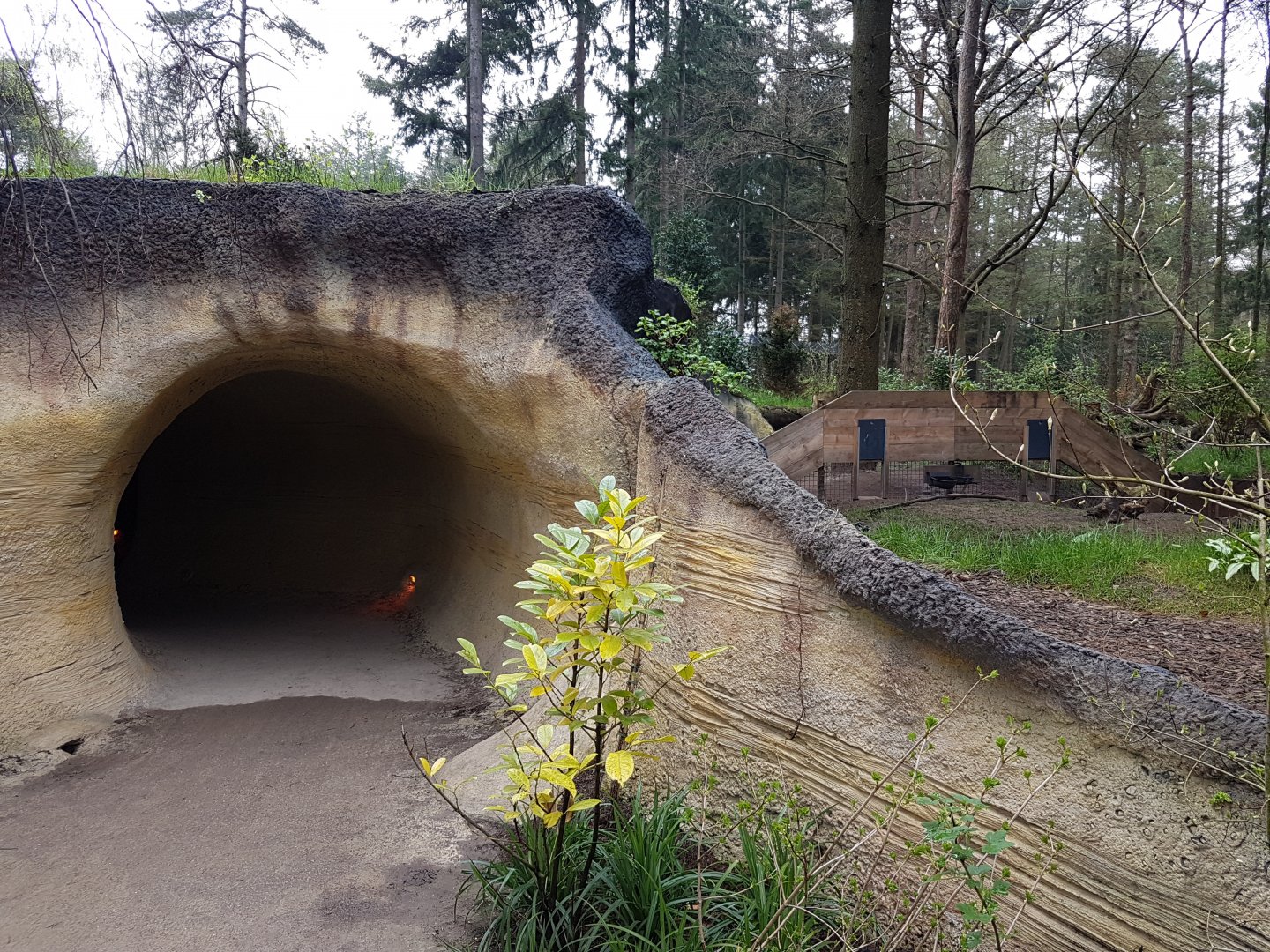 Entrance Badgar-indoor-enclosure