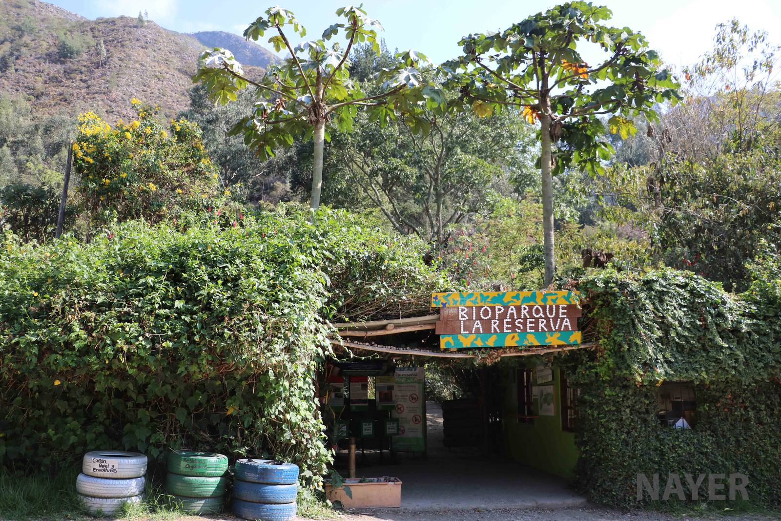 Entrance - Bioparque la Reserva, March 2016