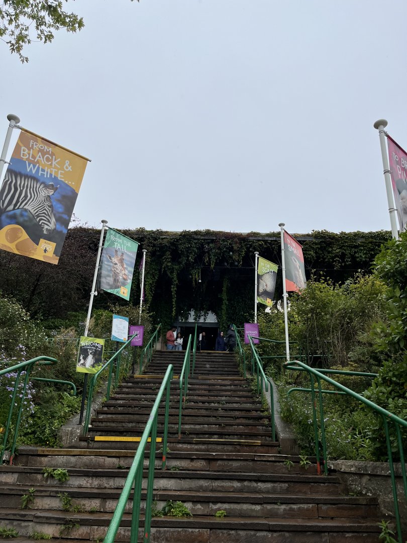 Entrance building and staircase 25.8.24