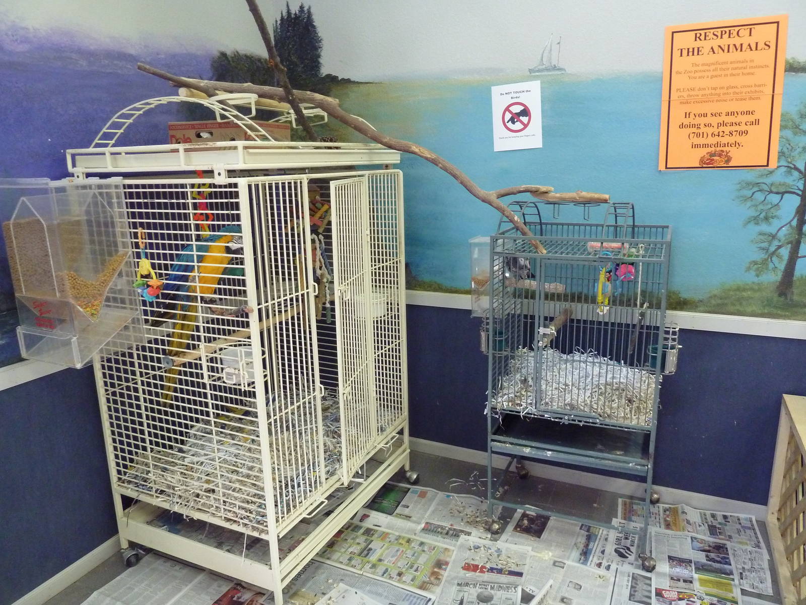 Entrance Building - Bird Cages