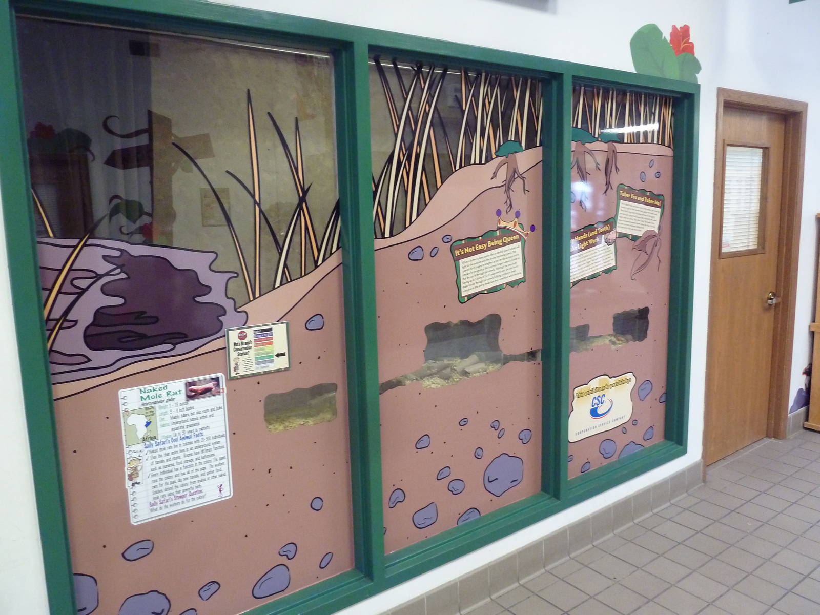 Entrance Building - Naked Mole Rat Exhibit