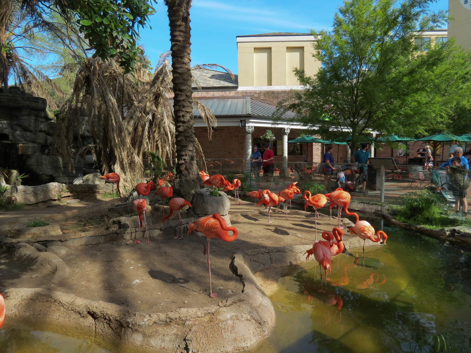 Entrance - Caribbean Flamingo Exhibit