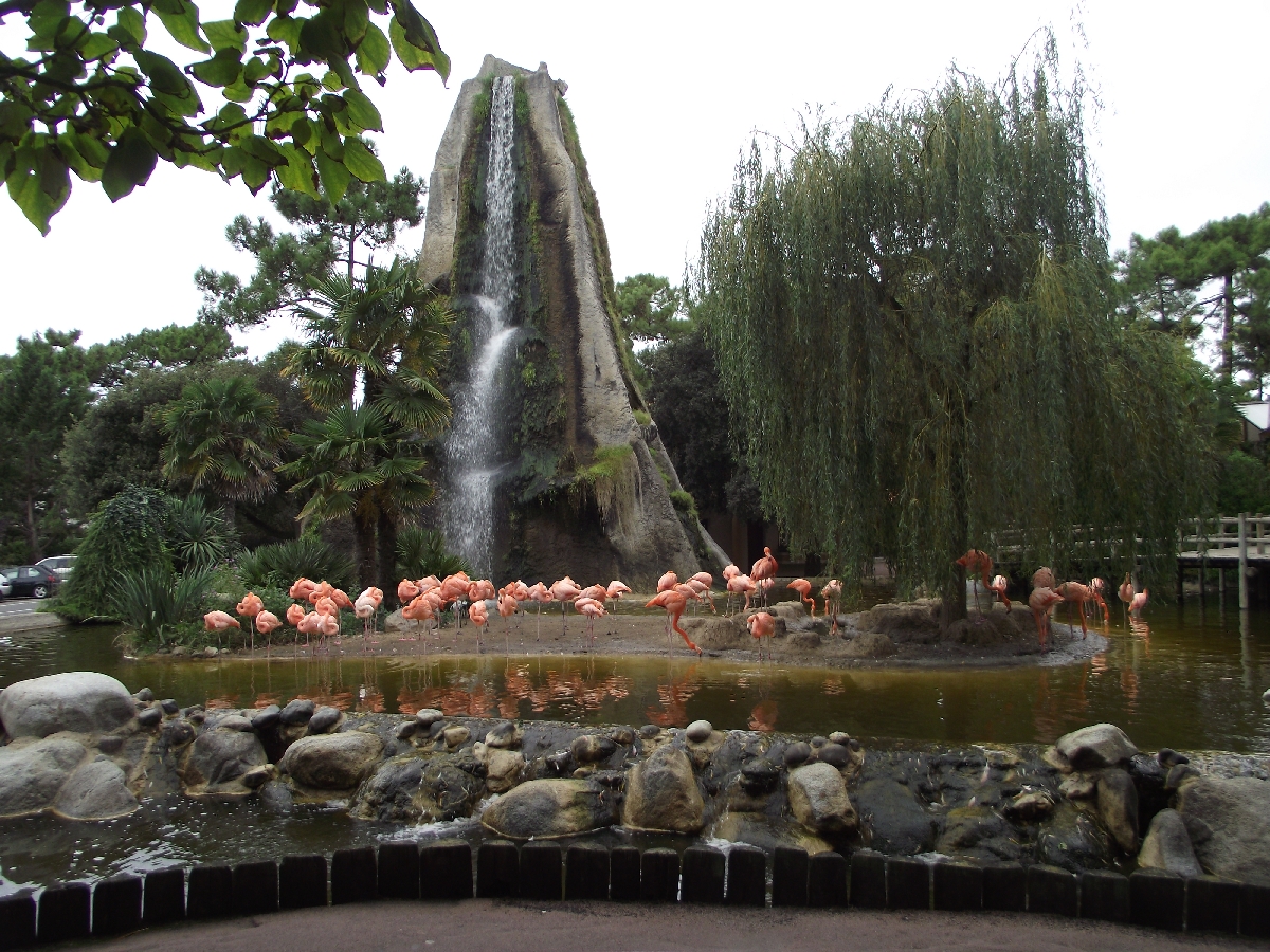 Entrance Cuban Flamingo Pool