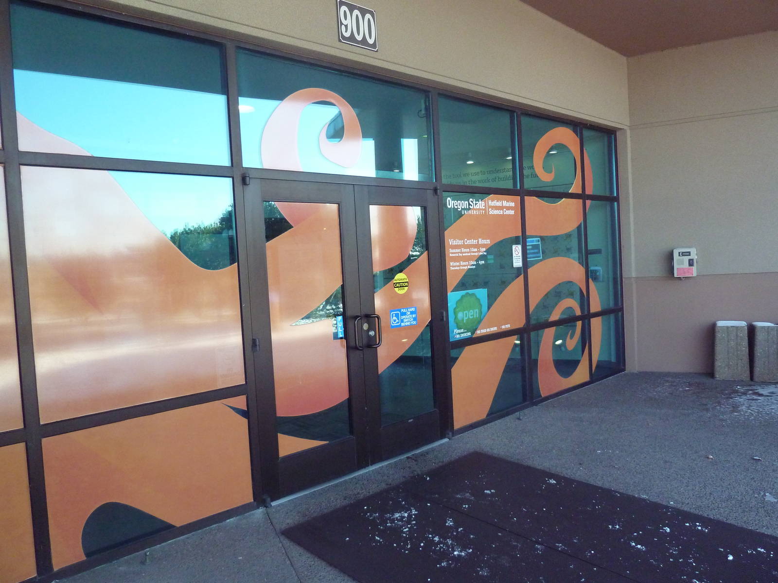 Entrance Doors - Octopus Arms Are Welcoming!