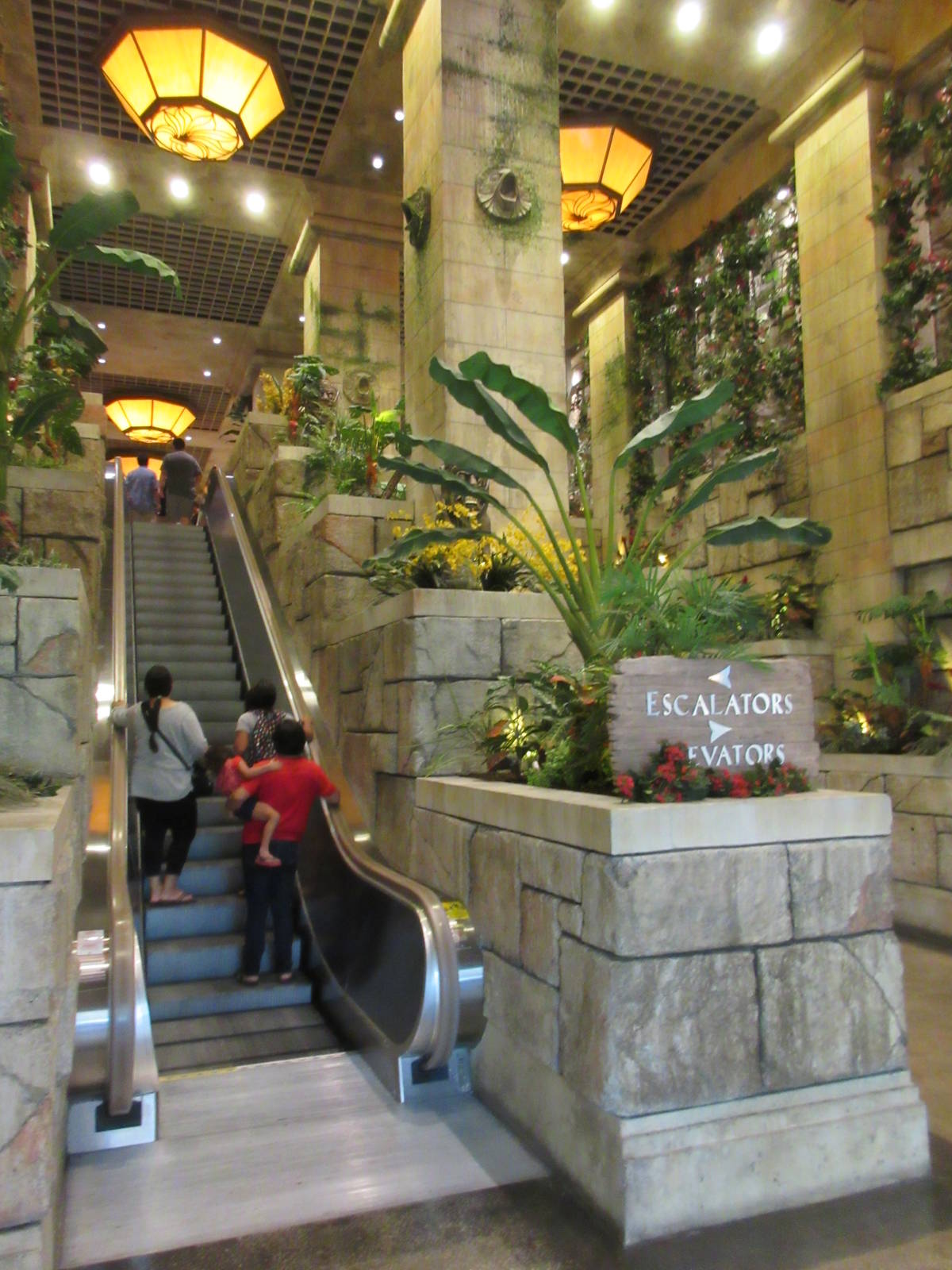 Entrance Escalator