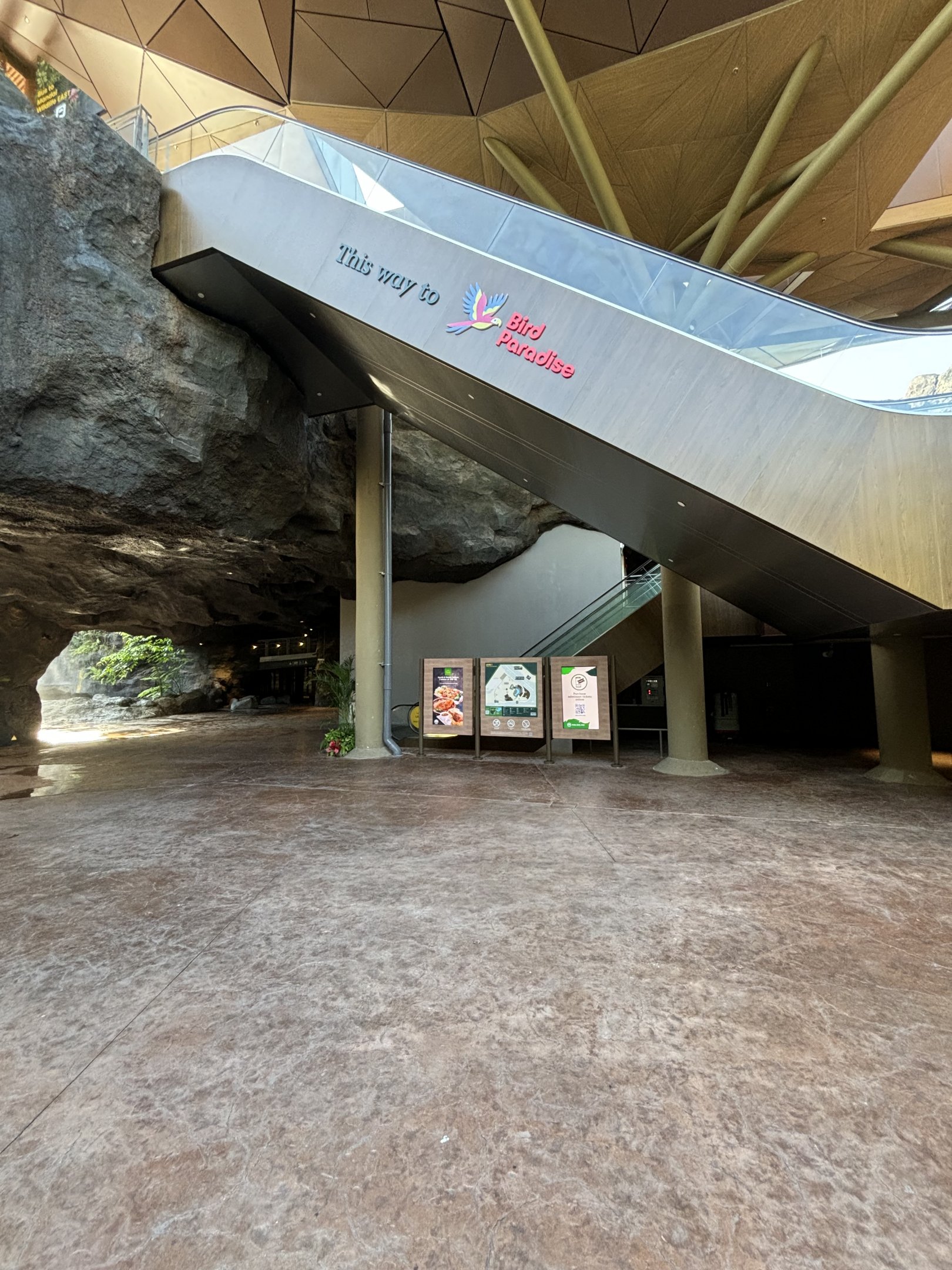 Entrance Escalator
