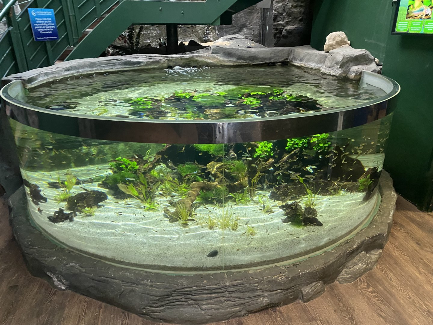 Entrance exhibit 070124