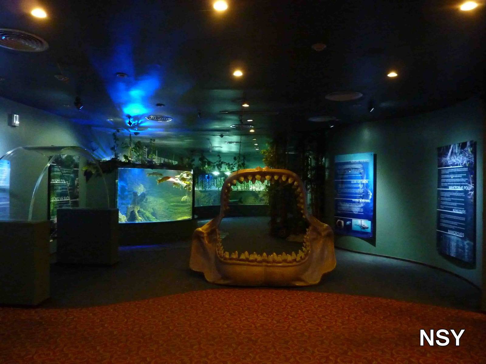 Entrance exhibits, May 2013.