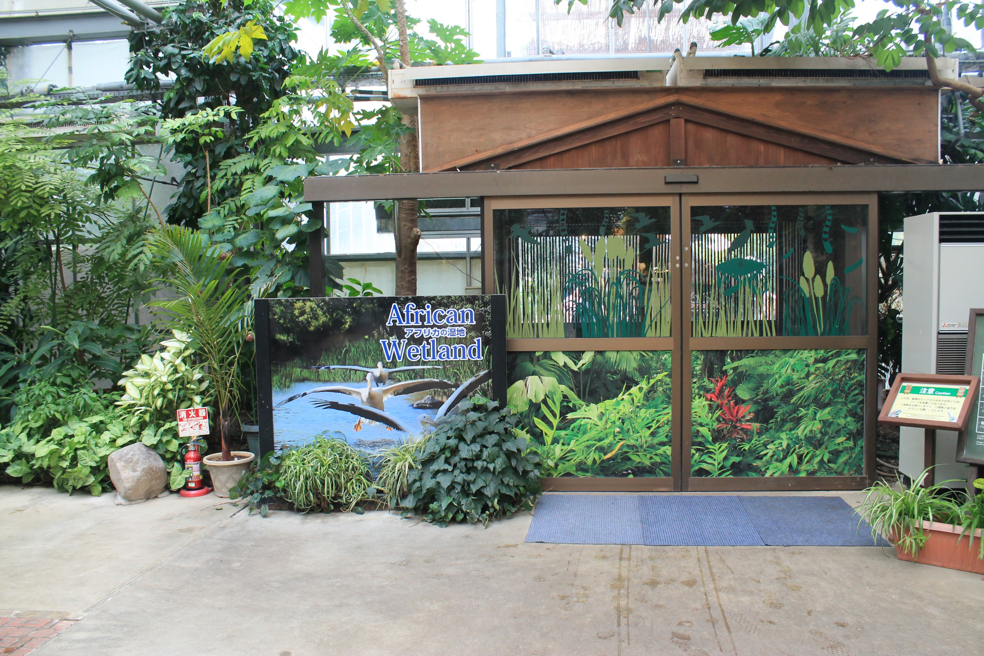 Entrance / Exit for African Wetland