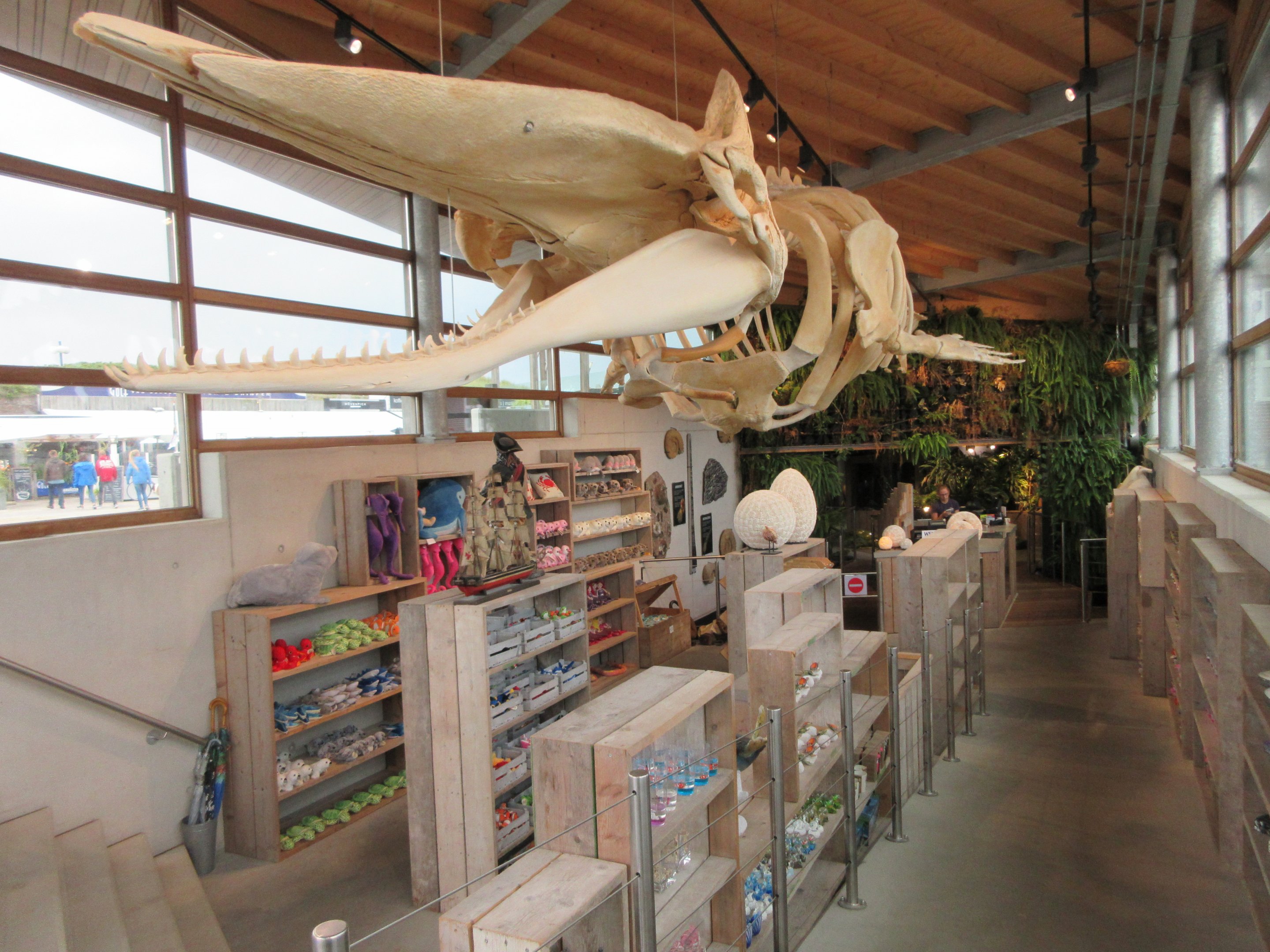 Entrance/Exit/Gift Shop