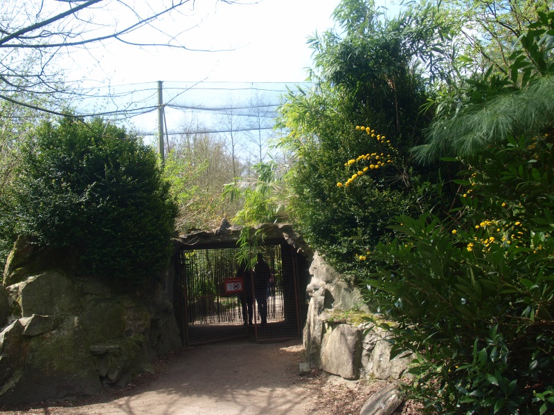 Entrance/exit of large aviary (April 19th, 2015)