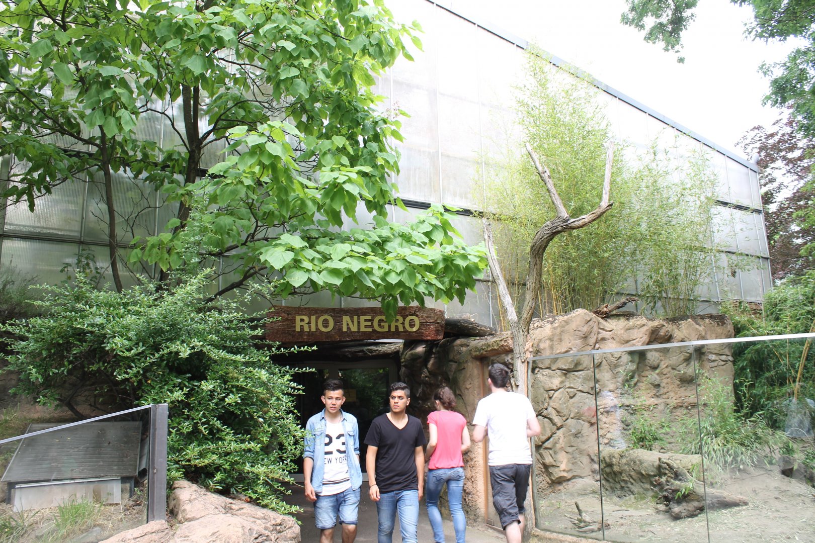 Entrance - Exit Rio Negro