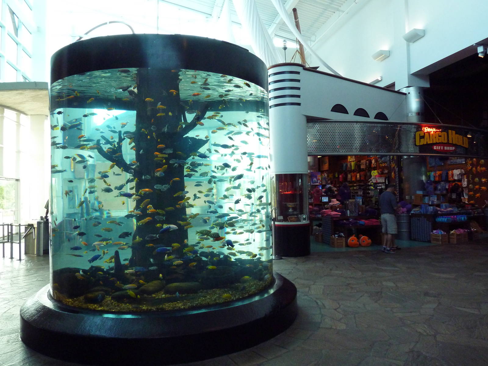 Entrance Fish Tank