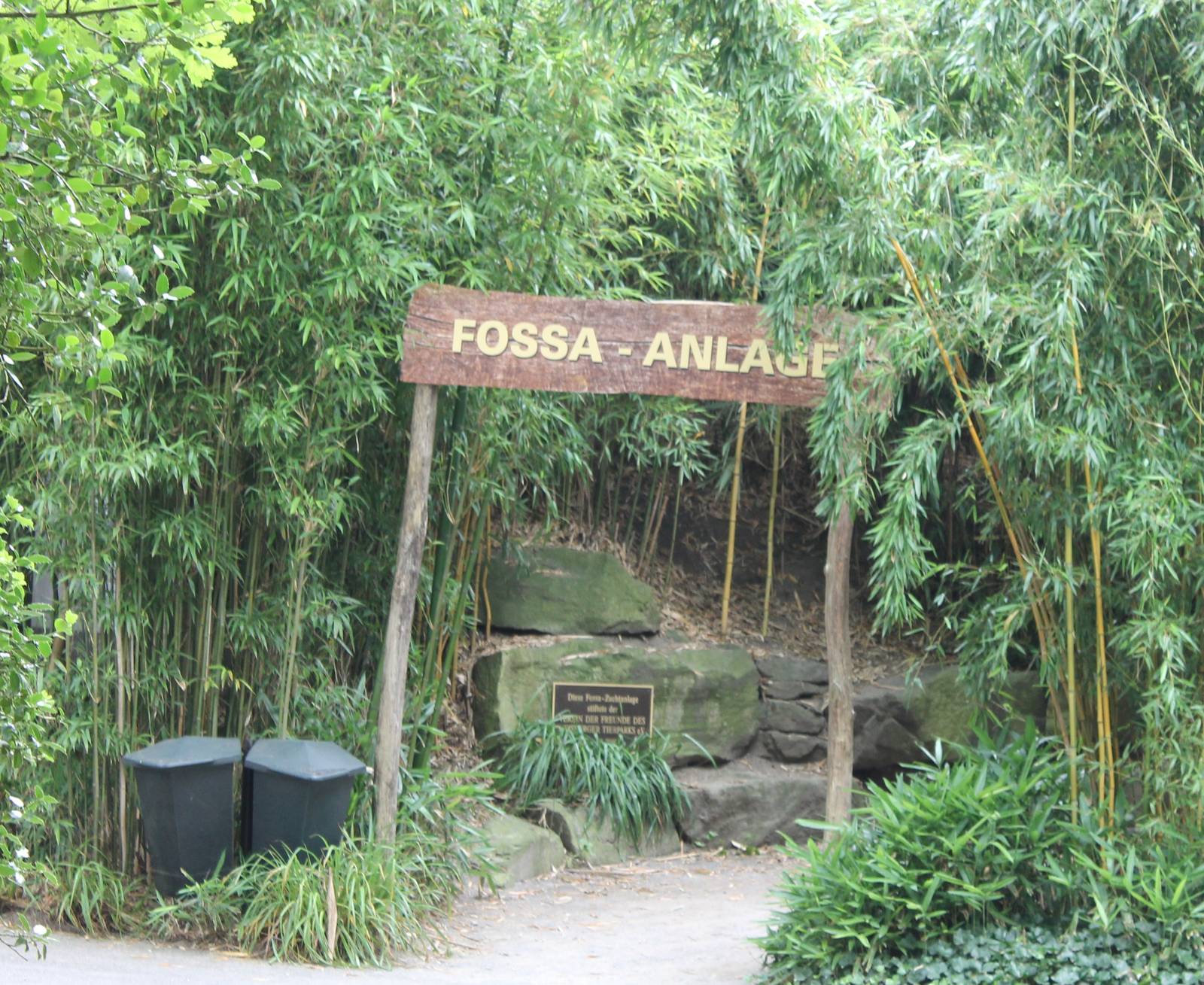 Entrance Fossa-breeding area