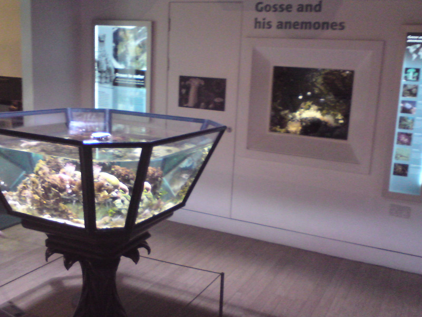 Entrance gallery for aquarium