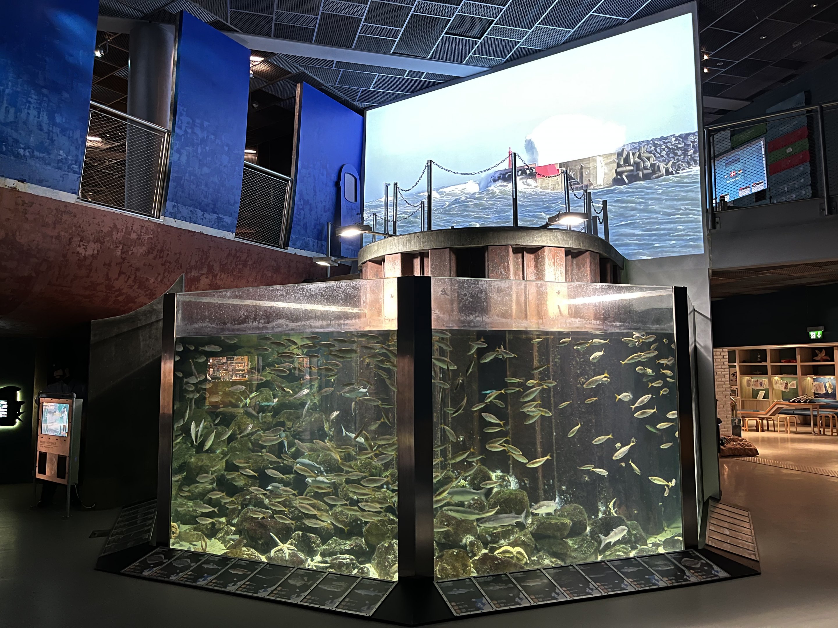 Entrance Gallery Tank