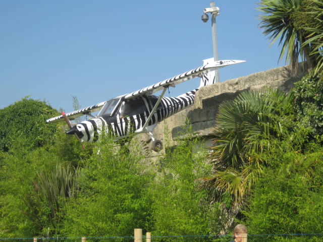 Entrance gate decoration 2016