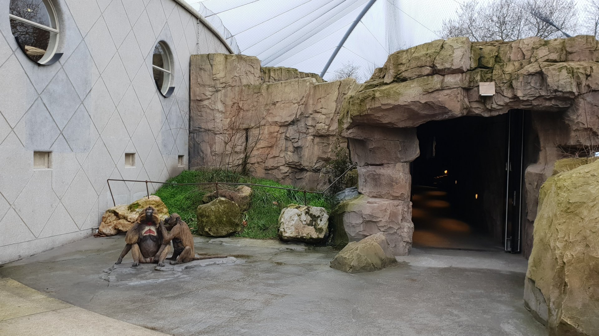 Entrance Gelada indoor-enclosure