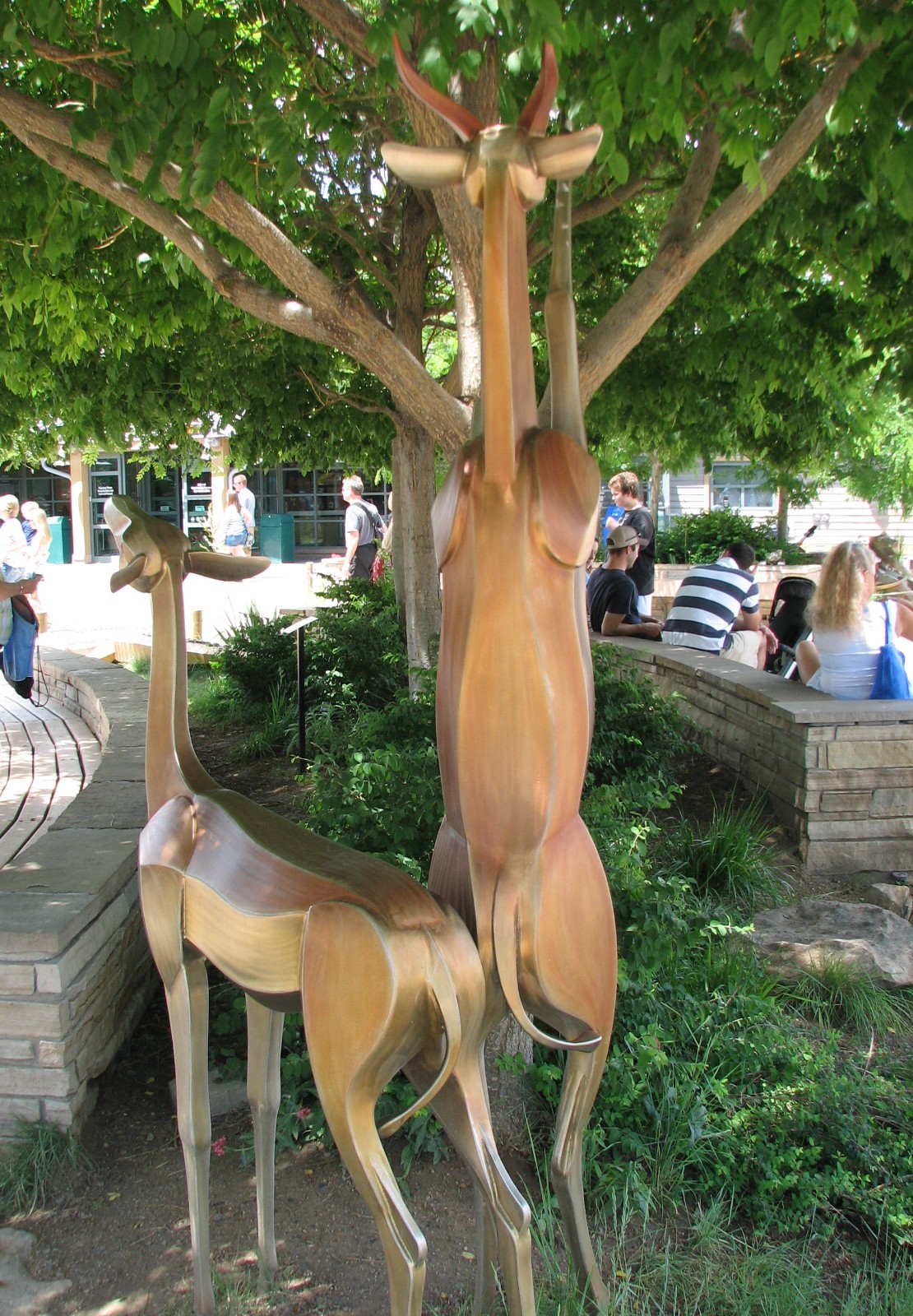 Entrance - Gerenuk Sculpture