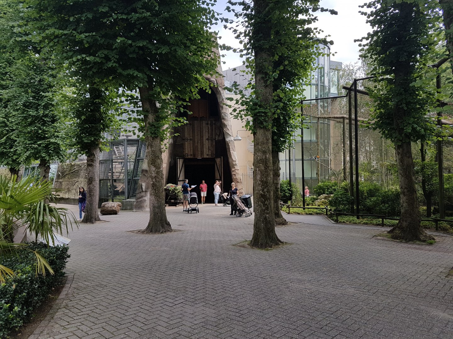 Entrance Gorilla-building