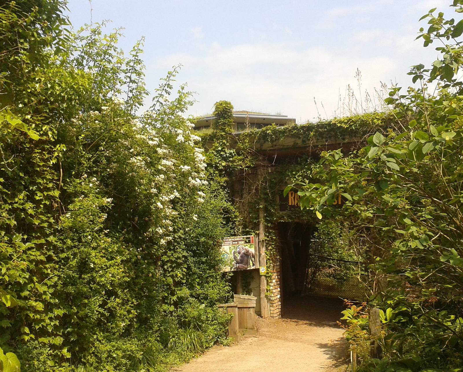 Entrance Gorilla - Mangabey house
